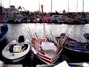 Voir le détail de cette oeuvre: Port à El Kantoui  (Tunisie)