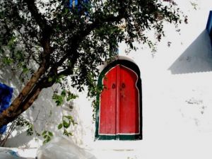 Voir le détail de cette oeuvre: Petite porte rouge (Sidi Bou Said)